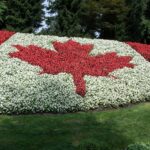 canadian travel