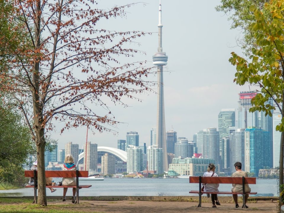four people sits on park benches across city scape